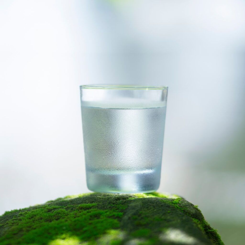 a glass of fresh water sitting on a moss covered rock