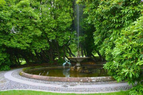 Water fountain spraying water upwards, surrounded by lush trees.