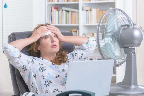 woman sitting at a desk with a laptop and a fan in front of them