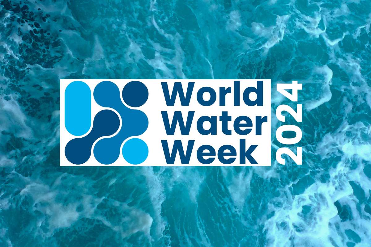 an aerial shot of turbulent crystal blue sea with the World Water Week 2024 logo overlaid