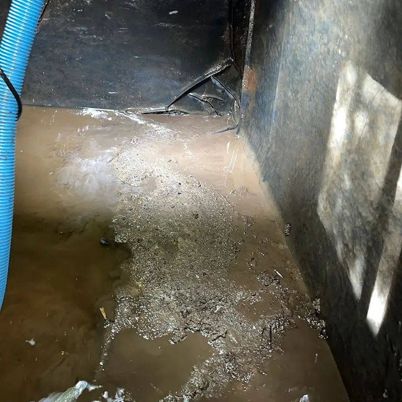 a contaminated water prior to professional cleaning to remove biofilm and other contaminants